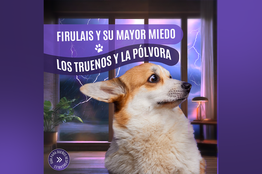 Tras las Huellas del Miedo, Entendiendo el Temor de los Perros a los Truenos y Pólvora