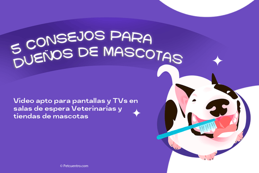 Beneficios de Usar Videos en Salas de Espera para Veterinarias y Tiendas de Mascotas