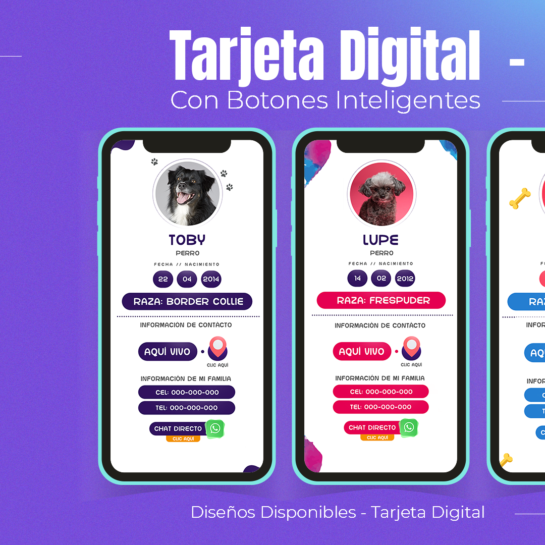 Collar Con Código QR de Identificación | Azul