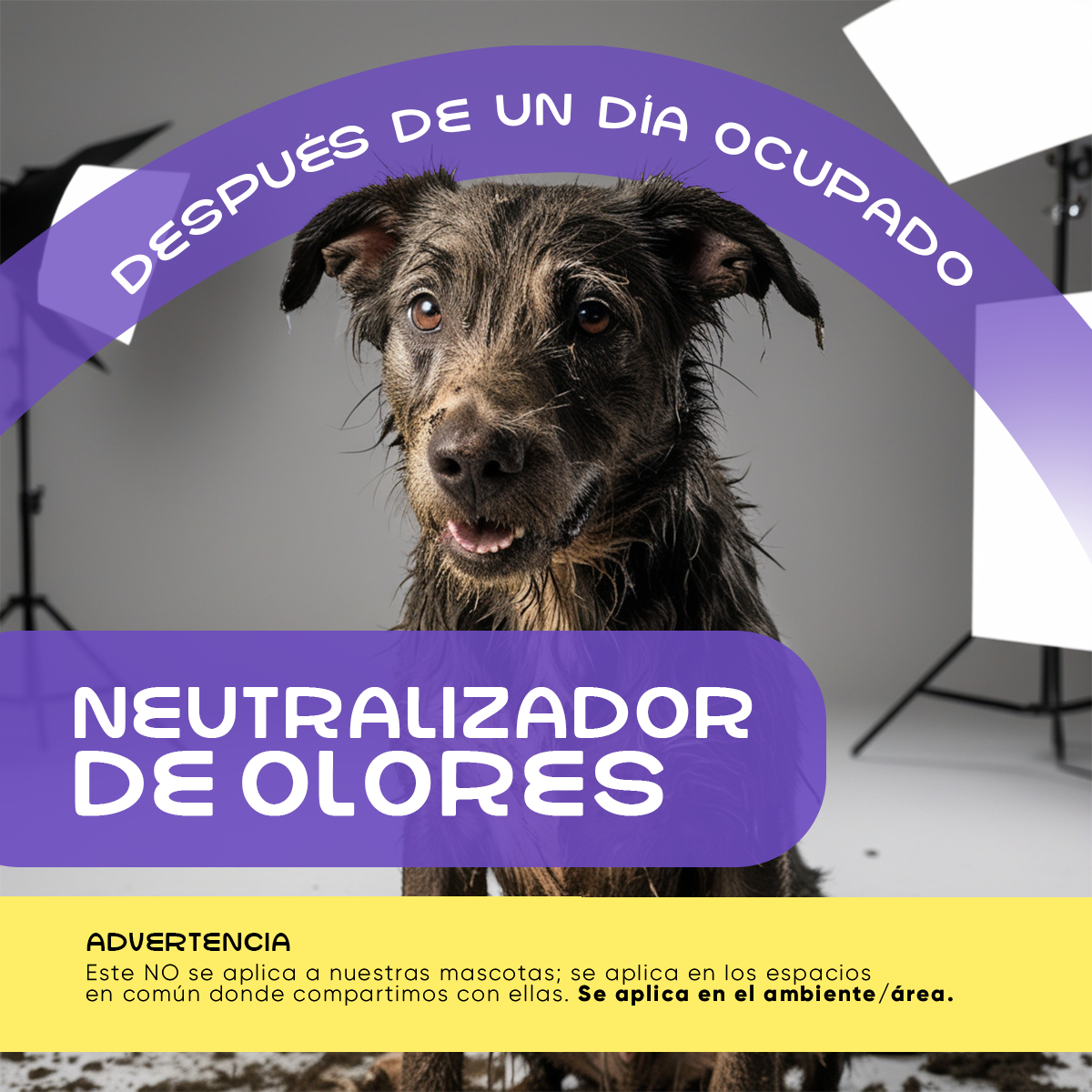 Neutralizador de Olores Petcuentro | KIT x 3 Unidades